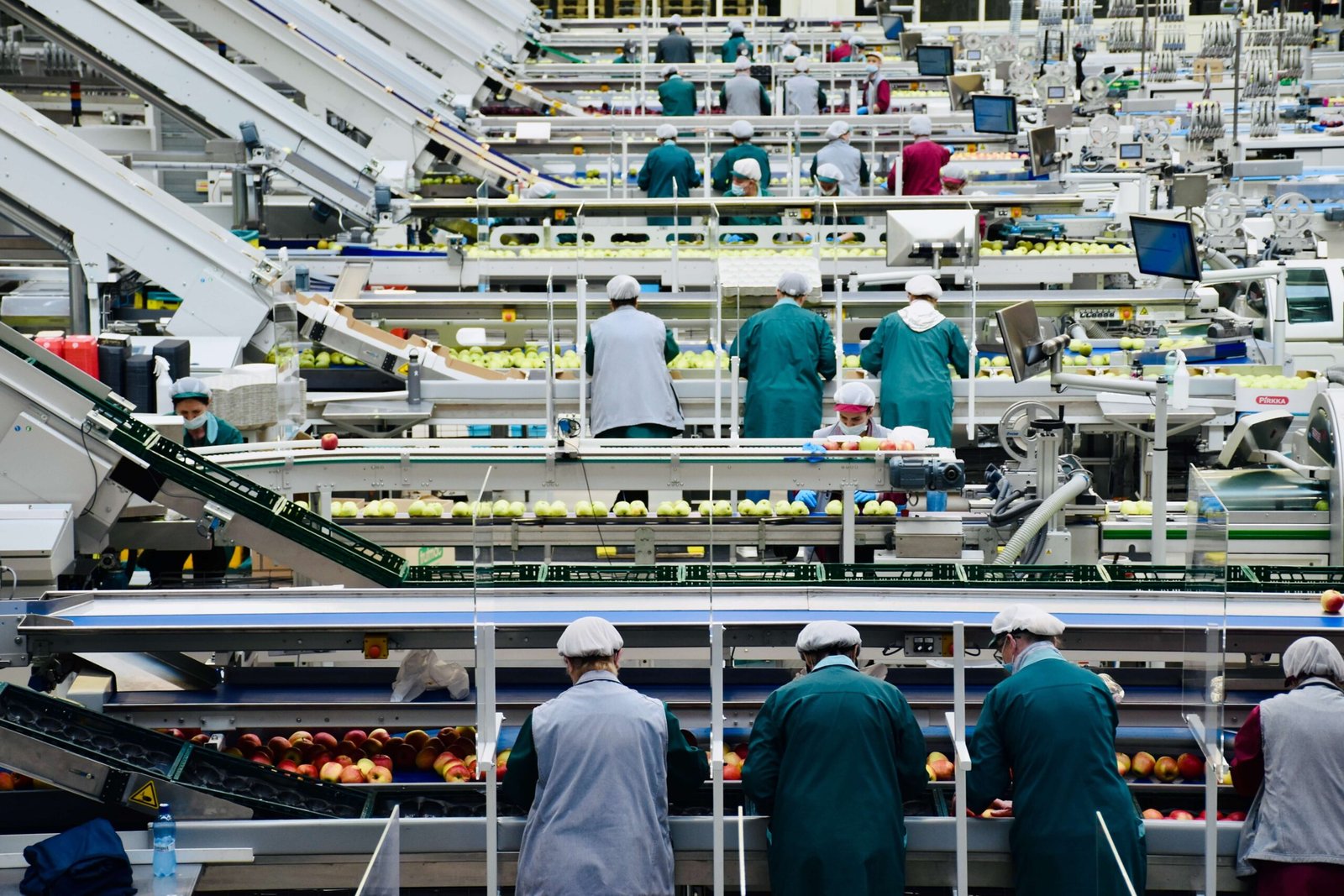 Entreprise agroalimentaire